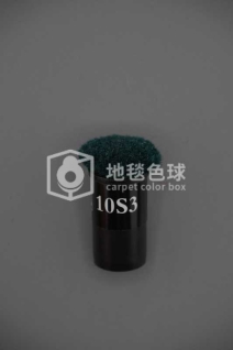 10S3