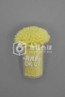 ARS CK07