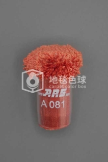 ARS A081