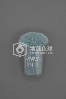 ARS 2N11