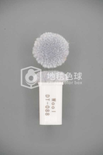DT 088
