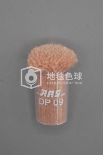 ARS DP09