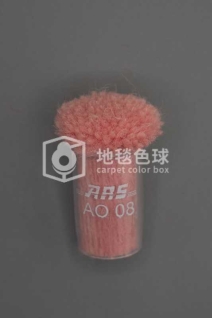 ARS AO08