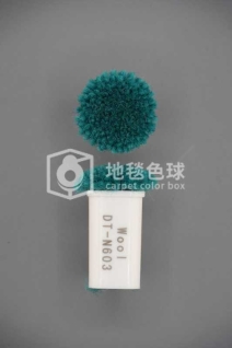 DT N603