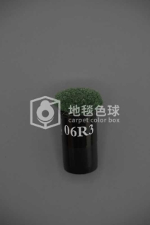 06R3