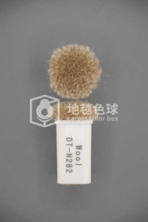 DT N282