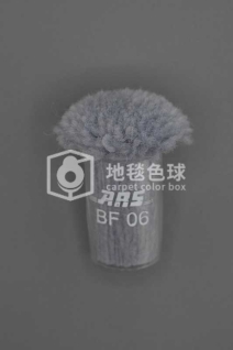 ARS BF06