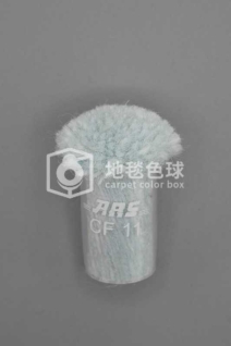 ARS CF11