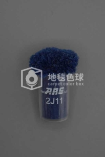 ARS 2J11