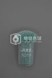 ARS 3D19