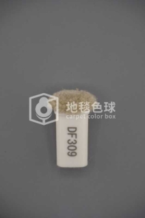 DF309