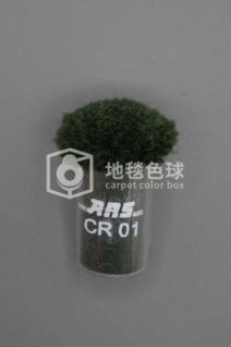 ARS CR01