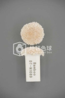 DT N1089