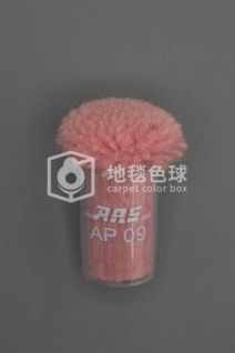 ARS AP09