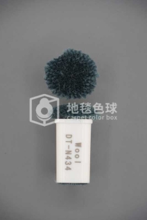 DT N434