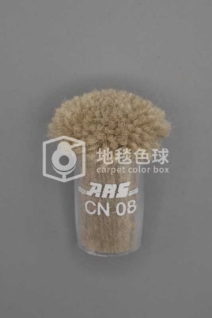 ARS CN08