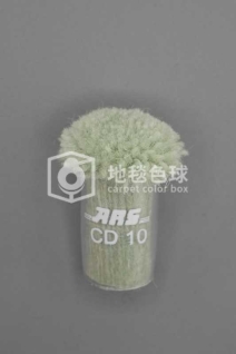 ARS CD10