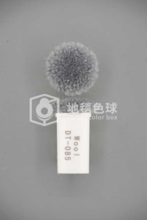 DT 085