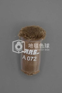 ARS A072