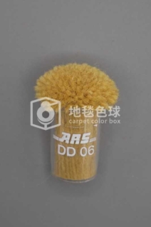 ARS DD06
