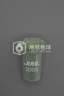 ARS 3D09