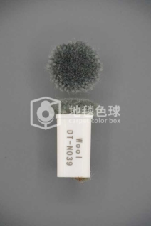 DT N039