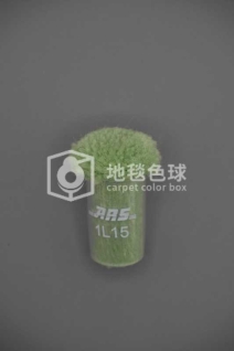 ARS 1L15