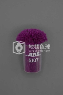 ARS 5I07