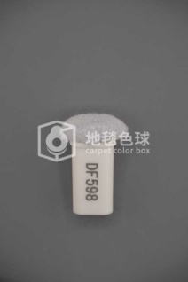 DF598