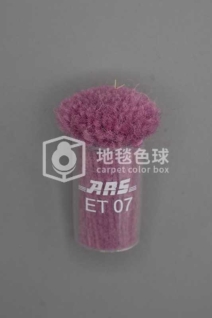 ARS ET07