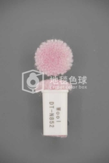 DT N852