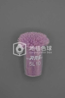 ARS 5L10