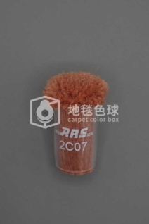 ARS 2C07