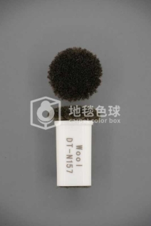 DT N157