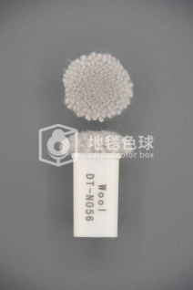 DT N056