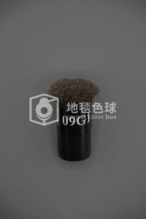 09G1