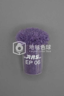 ARS EP06