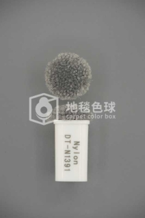 DT N1391