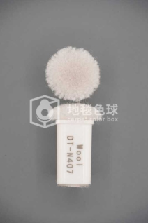 DT N407