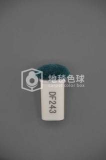 DF243