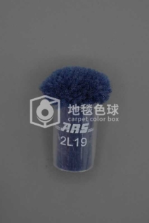 ARS 2L19