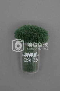 ARS CS05