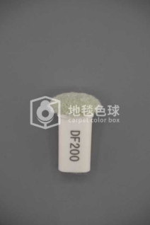 DF200