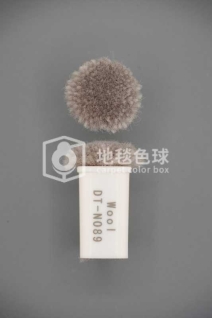 DT N089