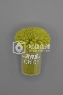 ARS CK01