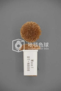 DT N808