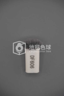 DF606