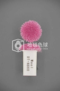 DT N860