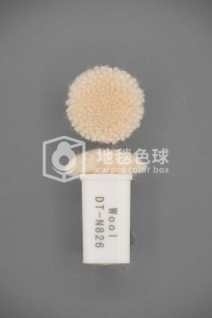 DT N826