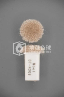 DT N309